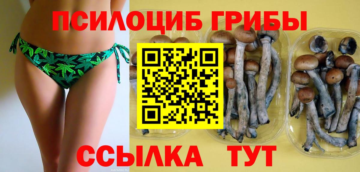 Галлюциногенные грибы прущие грибы  Вход с VPN  Шатура 